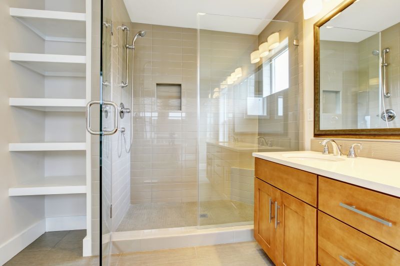 Elegant Shower Door